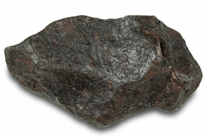 Canyon Diablo Iron Meteorite ( g) - Arizona #319556